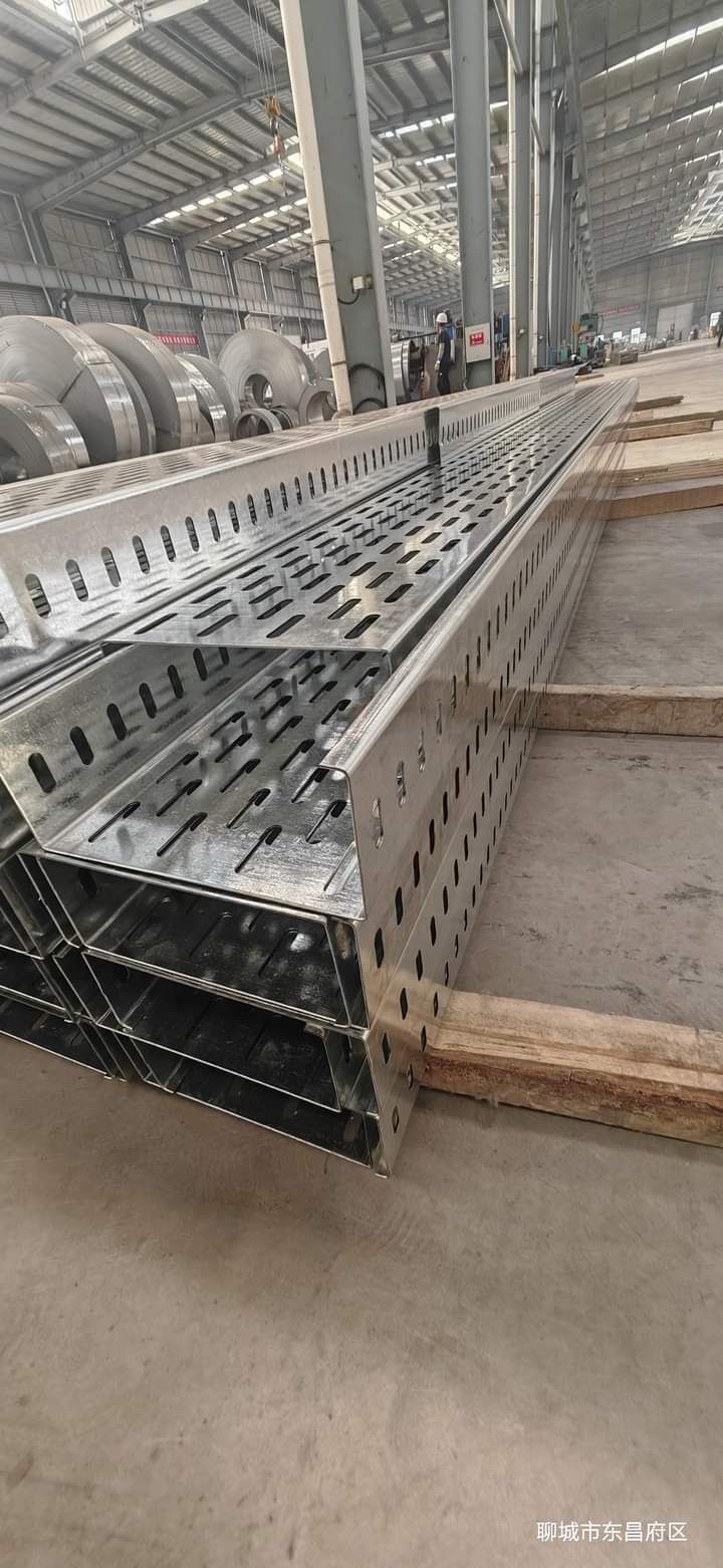 WhatsApp Image 2026-03-17 at 3.23